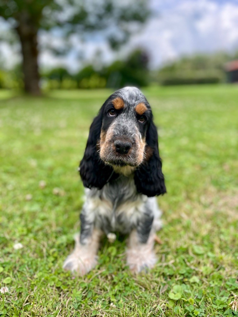 Like A Part Of Me Arley quinn