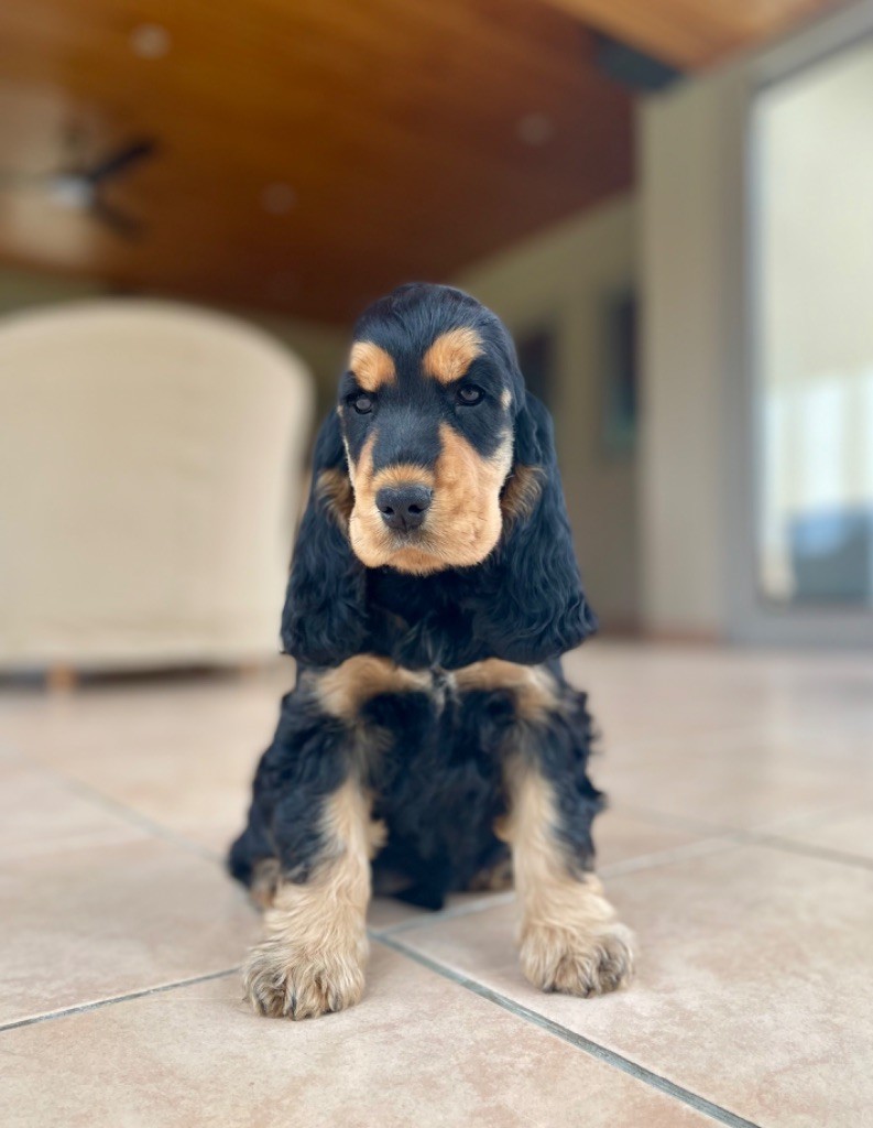 Another day in paradise of Never Say Goodbye