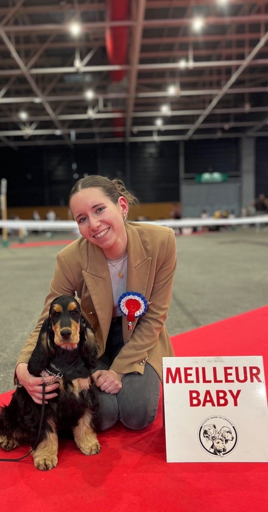 Another day in paradise of Never Say Goodbye